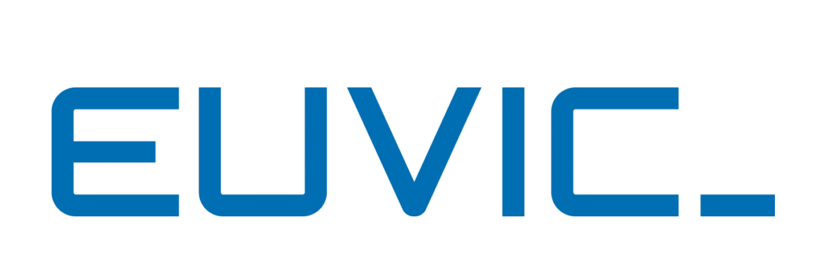 Euvic IT
